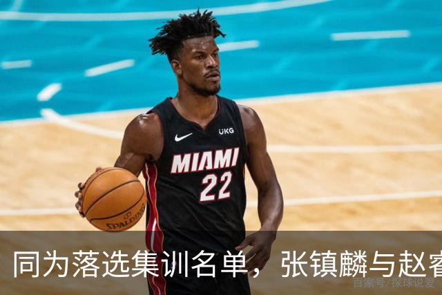 同为落选集训名单，张镇麟与赵睿的境遇差异何在？